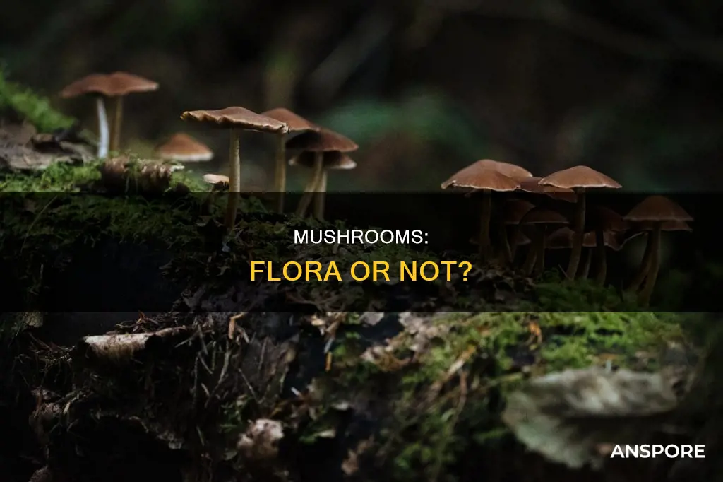 do mushrooms count as flora