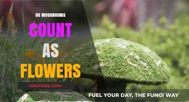 Mushroom Mystery: Are They Flowers?