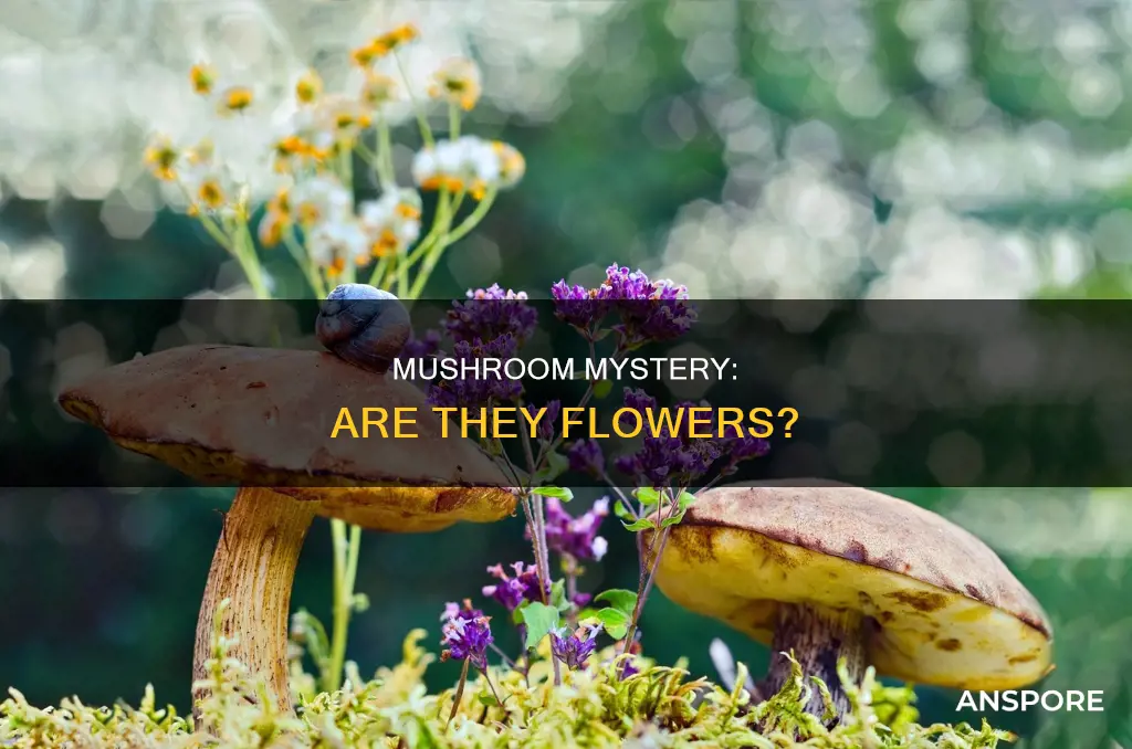 do mushrooms count as flowers