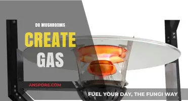 Mushrooms: Gas-Causing Fungi?