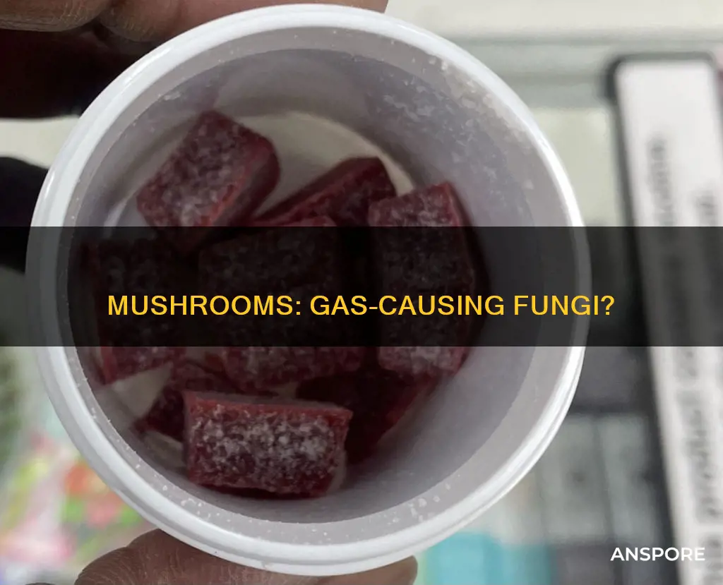 do mushrooms create gas