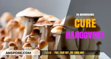 Hangover Cure: Can Mushrooms Help?