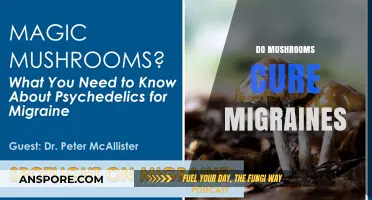 Can Mushrooms Cure Migraines?