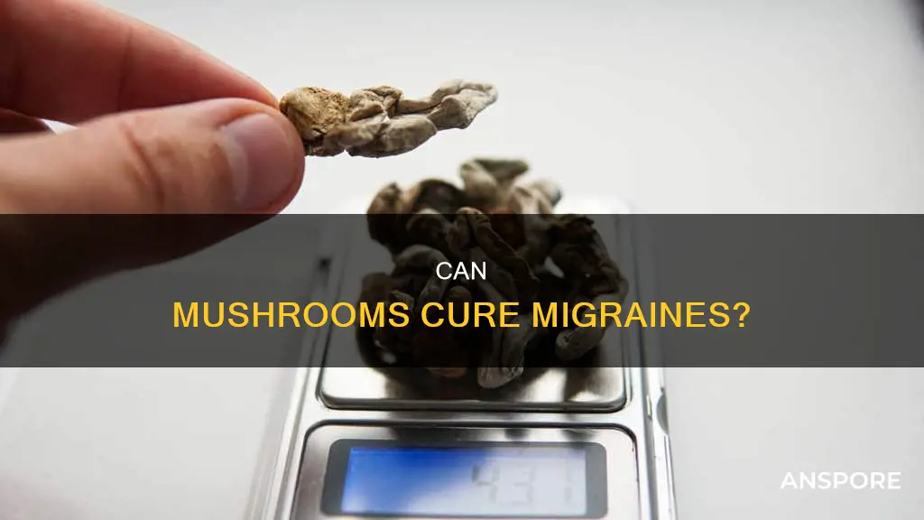 do mushrooms cure migraines