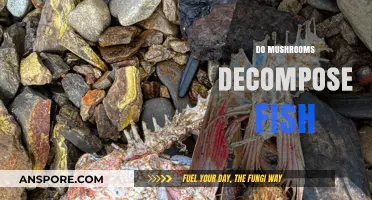 Mushrooms Decomposing Fish: Nature's Eco-Friendly Clean-Up