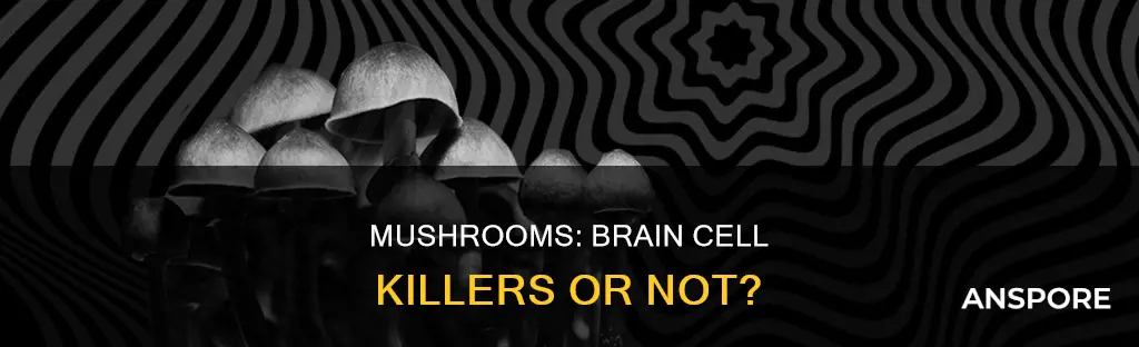 do mushrooms destroy brain cells