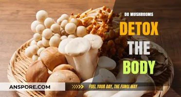 Mushrooms: Natural Body Detox or Myth?