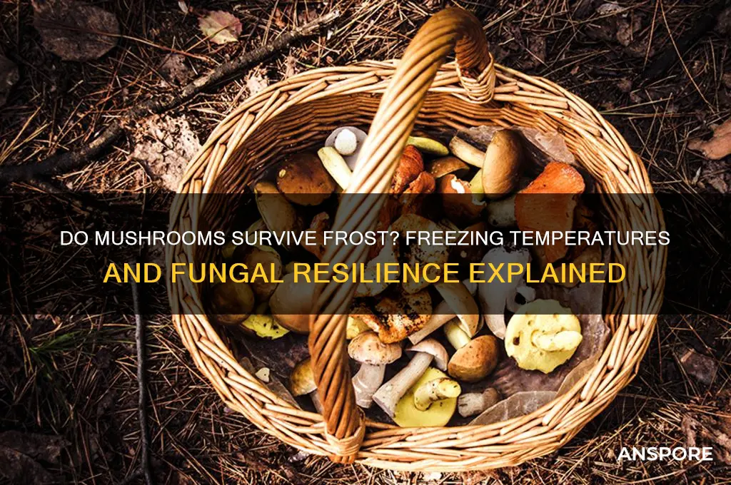 do mushrooms die after it freezes