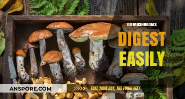 Mushrooms: Easy to Digest Superfood?