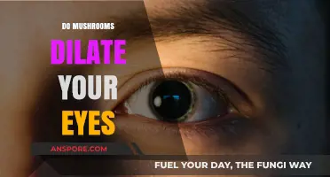 Mushrooms and Eye Dilatation: What's the Link?