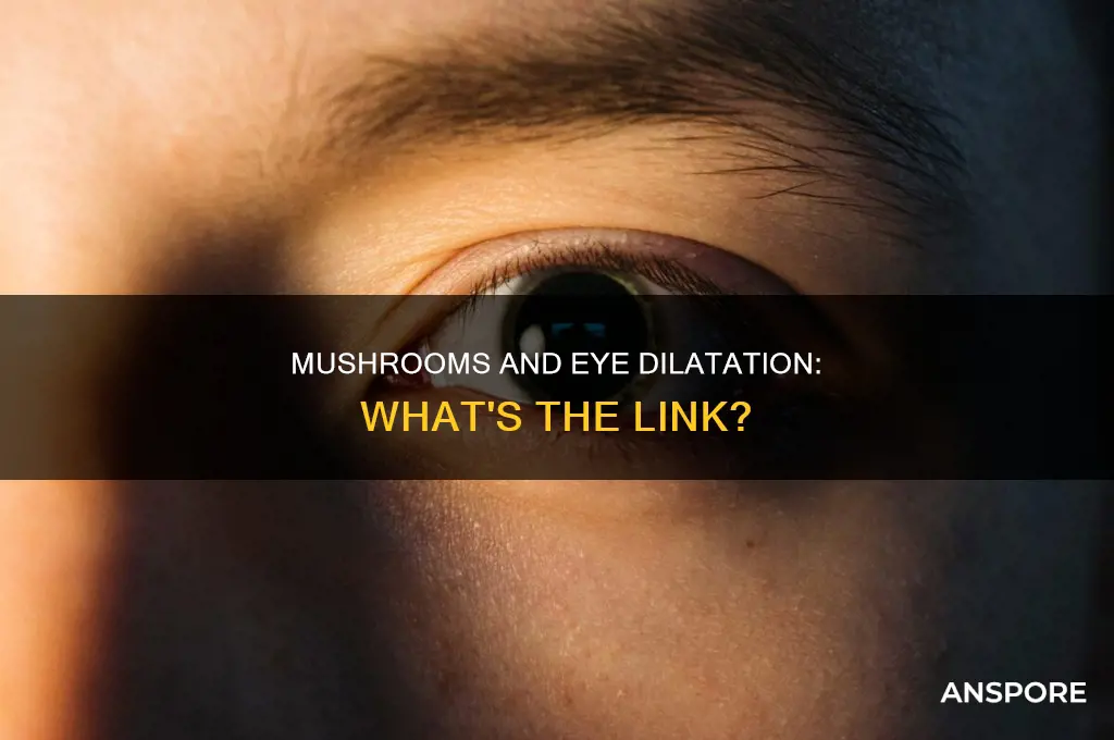 do mushrooms dilate your eyes