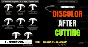 Why Do Mushrooms Discolor After Cutting?