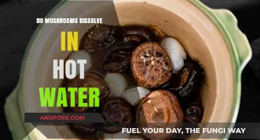 Do Mushrooms Dissolve in Hot Water? Exploring the Science Behind It