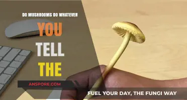 Can Mushrooms Follow Commands? Unraveling the Myth Behind Their Behavior