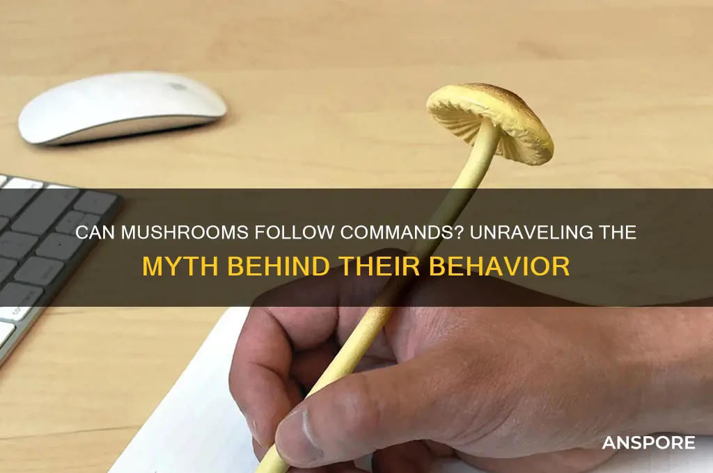 do mushrooms do whatever you tell the