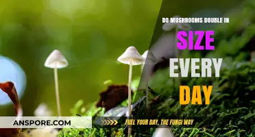 Do Mushrooms Double in Size Daily? Unveiling the Growth Myth