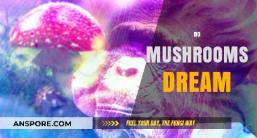 Mushrooms' Dreamy World: Do They Dream Like Us?