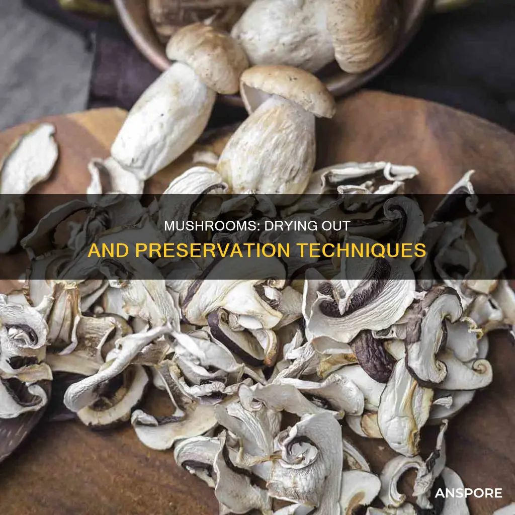 do mushrooms dry out
