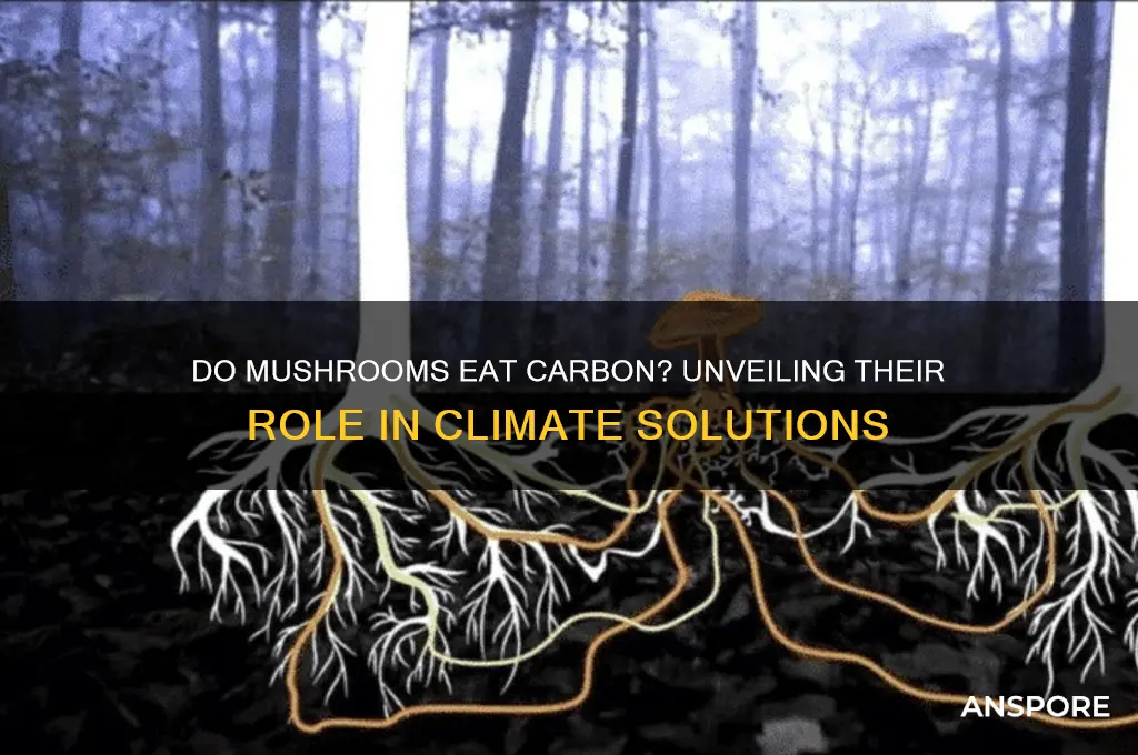 do mushrooms eat carbon