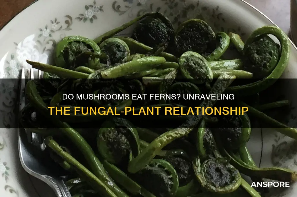 do mushrooms eat ferns