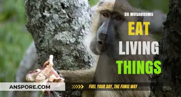 Do Mushrooms Eat Living Things? Unveiling Their Unique Feeding Habits