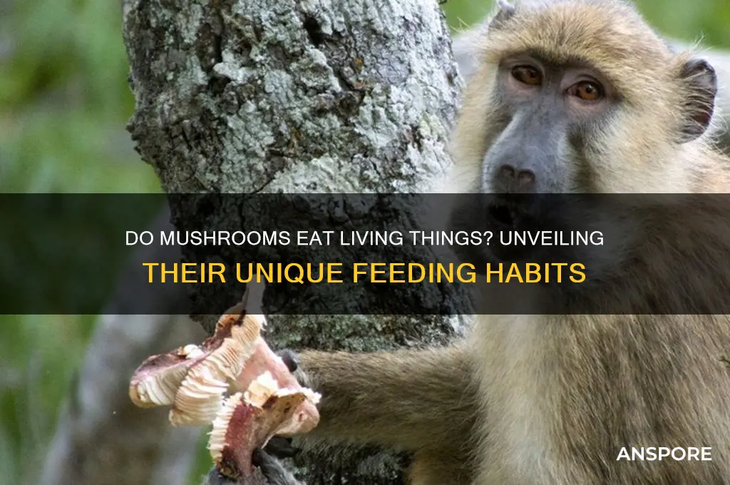 do mushrooms eat living things