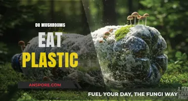 Can Mushrooms Digest Plastic? Exploring Nature's Potential Waste Solution