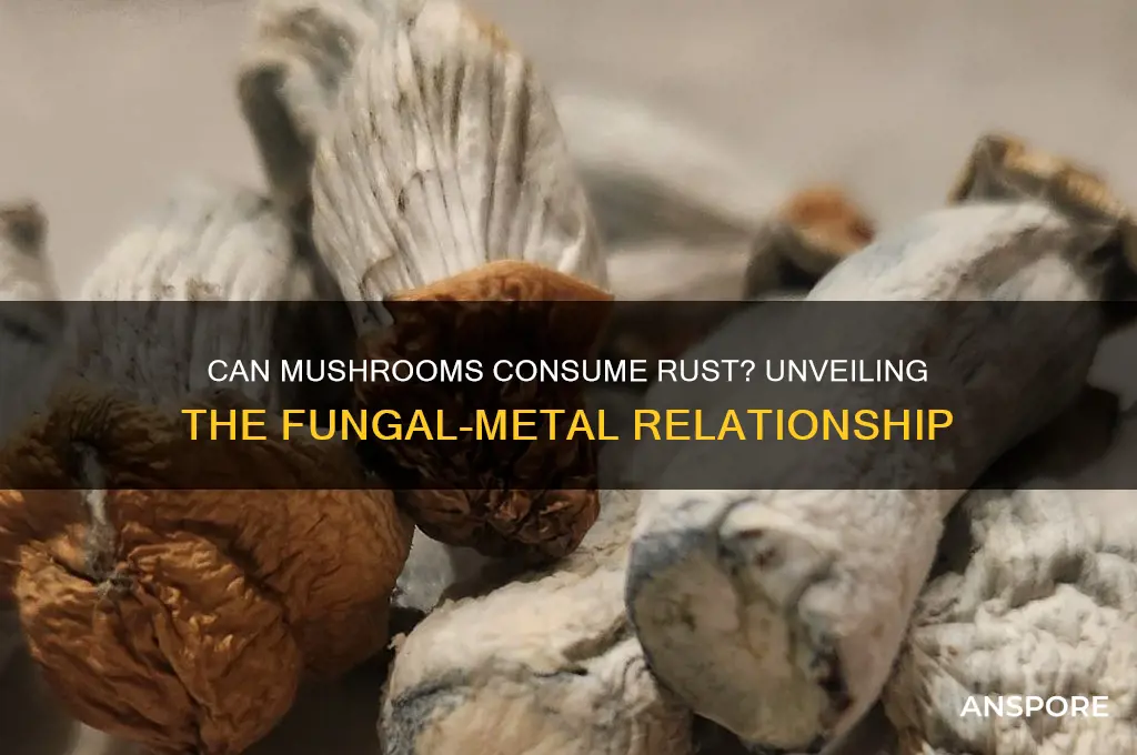 do mushrooms eat rust