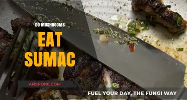 Do Mushrooms Eat Sumac? Exploring Fungal Interactions with Plants