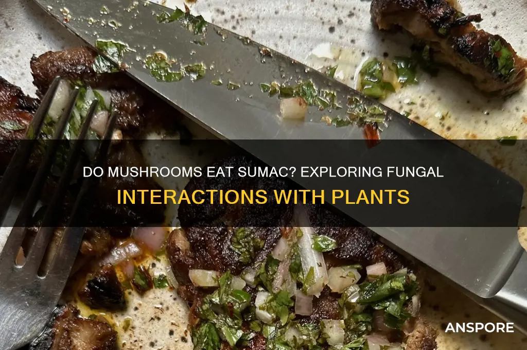 do mushrooms eat sumac
