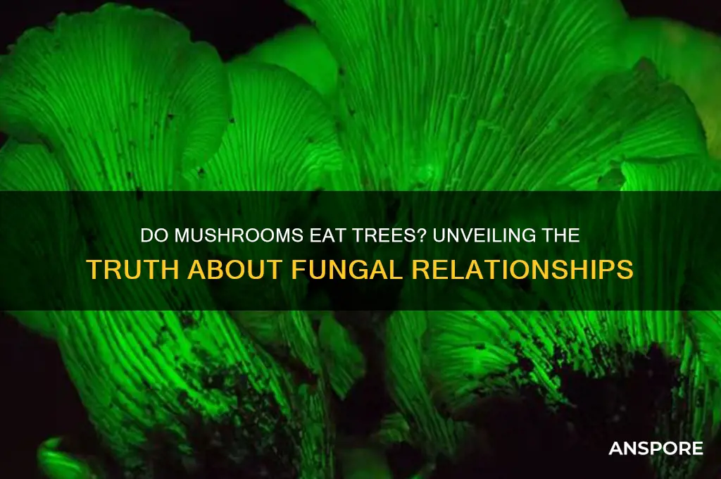 do mushrooms eat trees