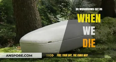 Do Mushrooms Consume Human Remains After Death? Exploring Decomposition Myths