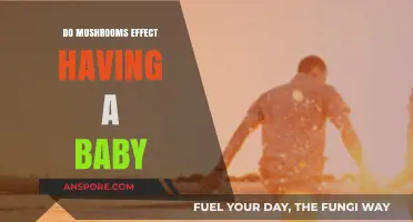 Mushrooms and Fertility: Exploring Their Impact on Conception and Pregnancy