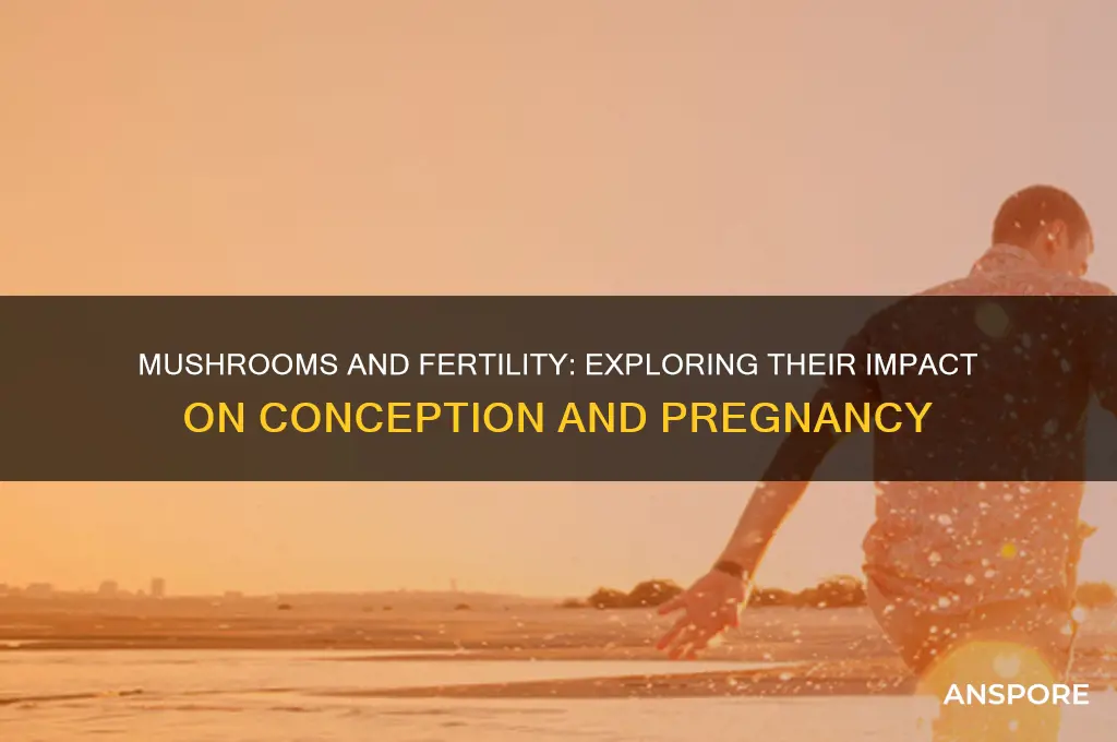 do mushrooms effect having a baby