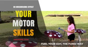 Mushrooms and Motor Skills: Unveiling the Impact on Coordination and Movement