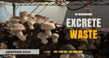 Mushrooms: Do They Excrete Waste Like Animals?