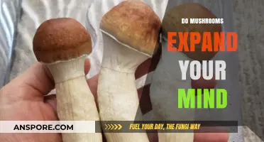 Mushrooms: Expanding Mind, Enhancing Consciousness, Altering Reality