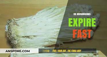 Mushrooms: How Long Do They Last?