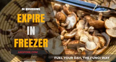 Freezing Mushrooms: How Long Do They Last?