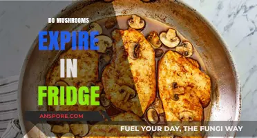 Mushroom Fridge Life: How Long Do They Last?