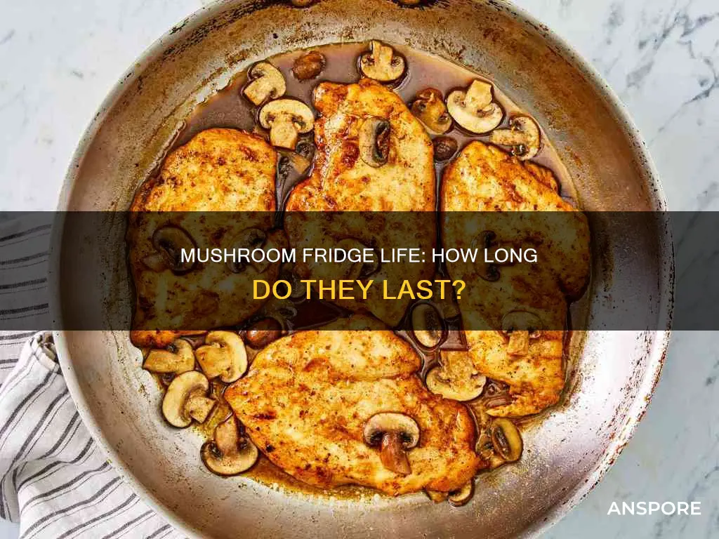 do mushrooms expire in fridge