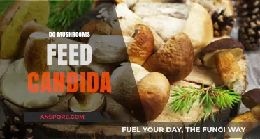 Mushrooms and Candida: A Feeding Frenzy?