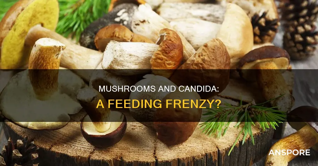 do mushrooms feed candida