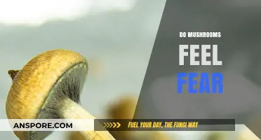 Do Mushrooms Experience Fear? Exploring Fungal Sentience