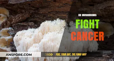 Mushrooms: Cancer-Fighting Superfood?