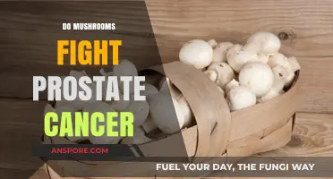Mushrooms: A Potential Prostate Cancer Fighter?