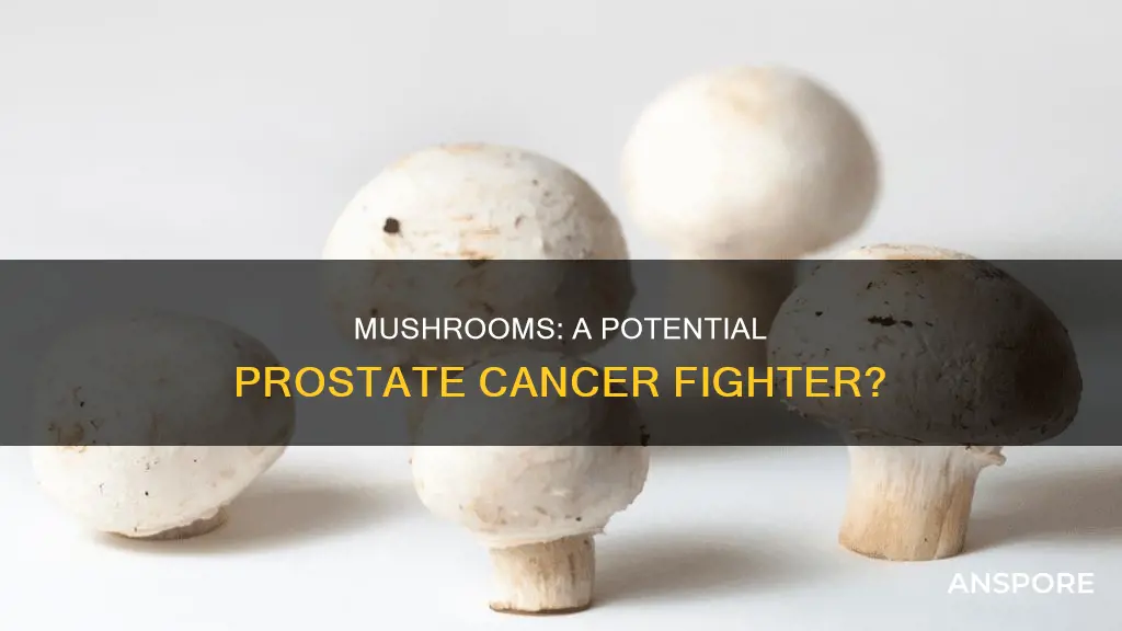 do mushrooms fight prostate cancer