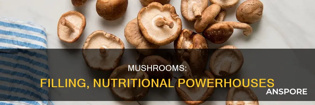 do mushrooms fill you up