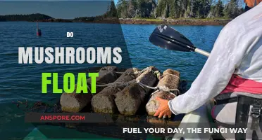 Mushroom Mystery: Why Do They Float?