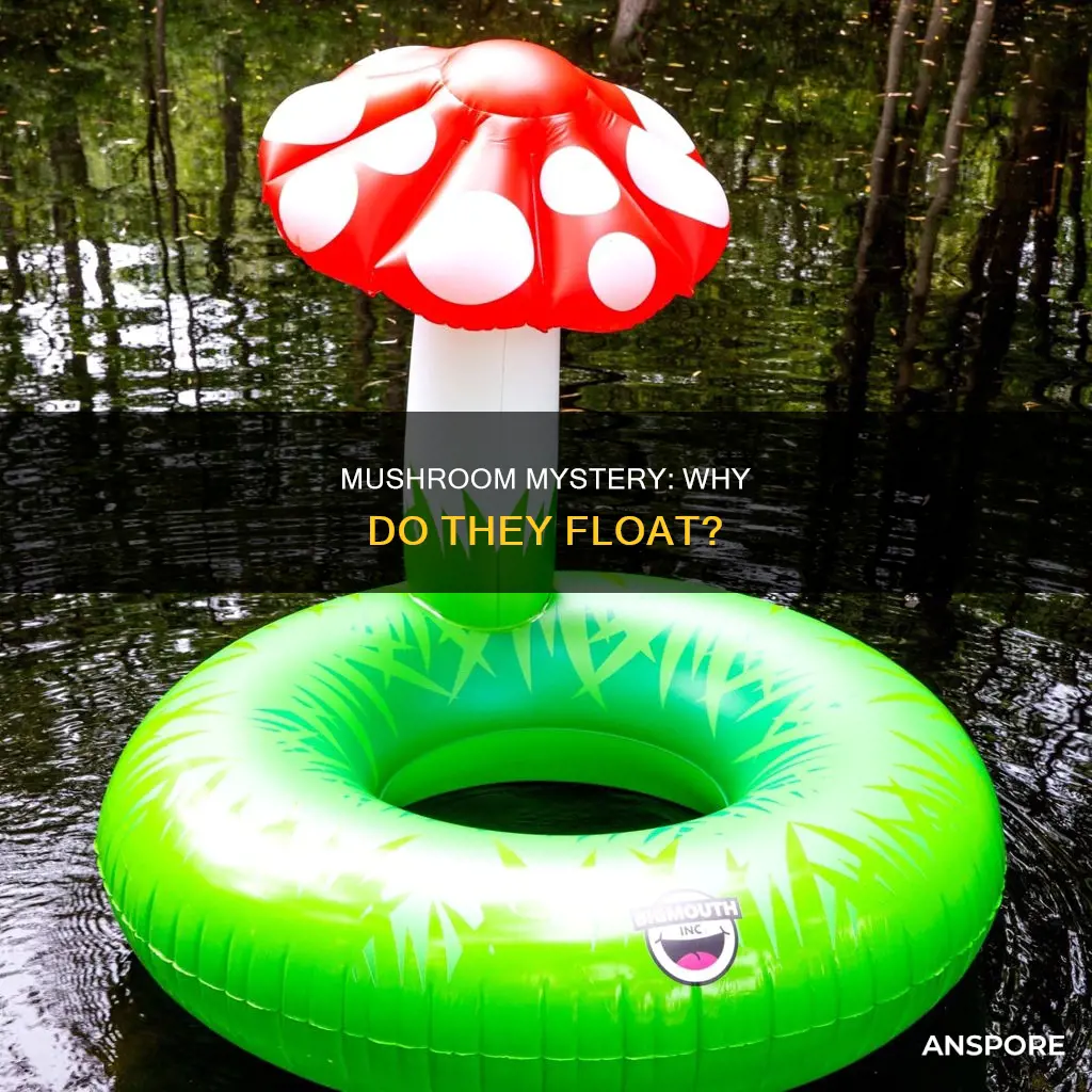 do mushrooms float